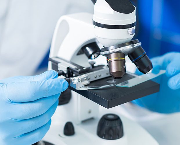 Toxilab